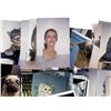 Image 2 : Cats & Dogs (2001) - 266 SFX Continuity Shots
