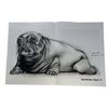 Image 1 : Evolution (2001) (Phil Tippett Collection) - Cutie Pie Concept Art (With Tippett Studios Stamp)