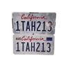 Image 1 : Novocaine (2025) - Nate (Jack Quaid) Screen Used License Plate Set