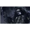 Image 4 : Alien vs. Predator (2004) - Scar (Ian Whyte) Hero Helmet