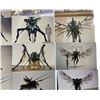 Image 2 : Starship Troopers (Phil Tippett Collection 1997) - 29 Behind The Scenes Prop Test Photos Collection