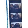 Image 3 : Starship Troopers (Phil Tippett Collection 1997) - Visual Effects Reels and Signed Toy - Lot E