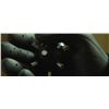 Image 3 : Batman Begins (2005) - Set of 2 BatBombs