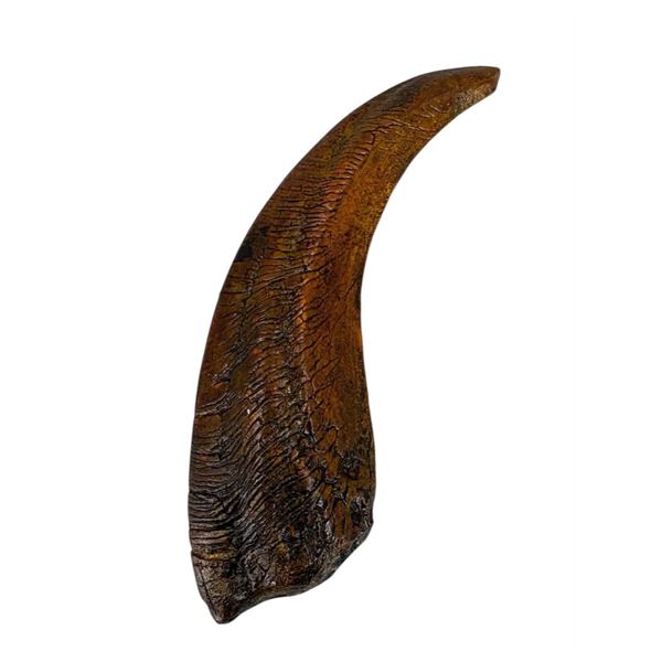 Jurassic Park (1993) - Velociraptor Claw