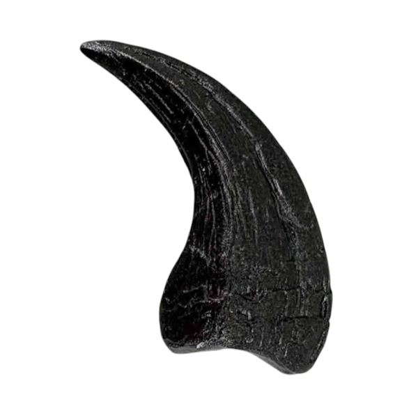 Jurassic Park (1993) - Dilophosaurus "Spitter" Dinosaur Claw