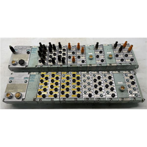 (2) Siemens Module Rails