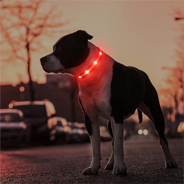 3 Masbrill LED Light-Up Dog Collars; Rechargeable/Rainproof Super-Bright Design (Size L) - New