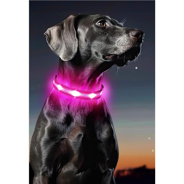 4 Masbrill LED Light-Up Dog Collars; Rechargeable/Rainproof Super-Bright Design (Size S) - New