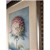 Image 2 : Hydrangea Art Prints