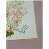 Image 2 : Framed Floral Art Pieces