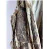 Image 2 : Women's Fur Vest