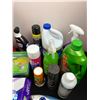Image 2 : Household Cleaning Lot