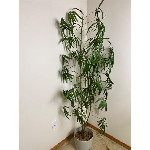 Faux House Plant