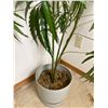 Image 3 : Faux House Plant