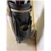Image 4 : Golf Clubs & Caddy