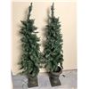 Image 1 : Set of 2 Pre-Lit Potted Porch Trees