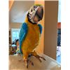 Image 2 : Jet Spray Cooler Machine w/Parrot