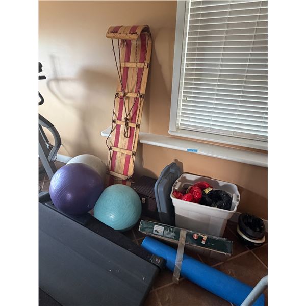 Group of Sport Equip - Boxing Gloves, Workout Balls, Sled, Etc.