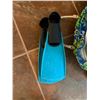 Image 3 : Group of Water Sports - Aluminum Tank, Swim Fins, Bodyboard, Etc.