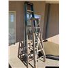 Image 1 : Group of Various Ladders