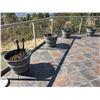 Image 1 : Group of 4 planters