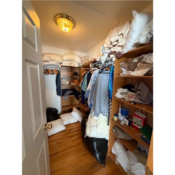Large Group of Clothing and Pillows