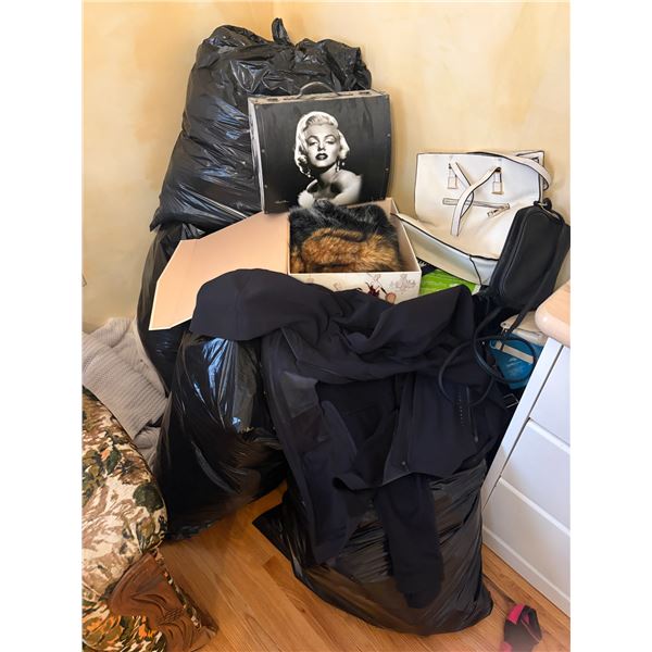 Group of Women Handbags and Clothing products