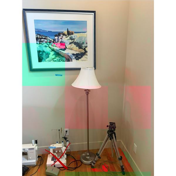 Group of Wall painting and a Floor Lamp