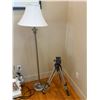 Image 2 : Group of Wall painting and a Floor Lamp