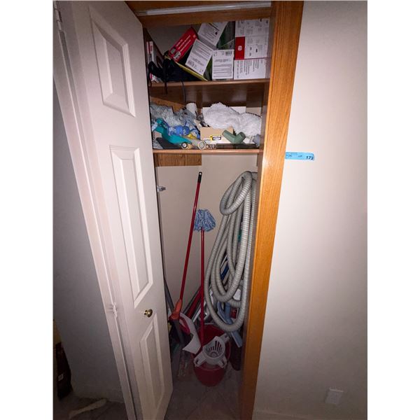 Group of Assorted Cleaning Supplies