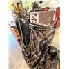 Image 1 : Panasonic Gunslinger 260 combination MIG and stick welding machine