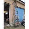 Image 2 : Group of 12-Step Ladder and 5 Step ladder
