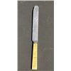 Image 10 : 22 Piece Assorted Faux Ivory Handle Stainless Table Knives 