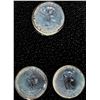 Image 14 : Carnaval de Québec Souvenir Dollar Coin Sets 