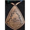 Image 8 : Rare 1979 Canada Winter Games Medals Set 