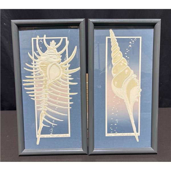 Framed Seashell Artworks