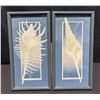 Image 1 : Framed Seashell Artworks