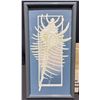 Image 2 : Framed Seashell Artworks