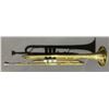 Image 8 : Tempo Trumpet Brass Finish