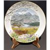 Image 14 : Collector Plates - Royal Worcester, Gorham, Esso, Viletta China