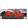 Image 1 : Dolphin Fins and Red Neoprene Diving Suits with Accessories