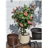 Image 3 : Garden Decor, Planters, Weather Station and Metal Wall Art