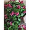 Image 2 : Artificial Pink Flower Arrangement With Inspirational Plaque