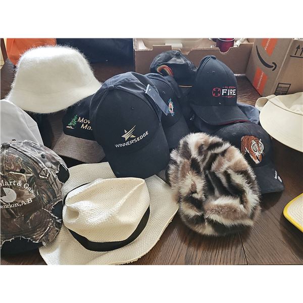 Hats Including Ball Caps, Fur, and Wool Styles, Lot of 10