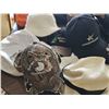 Image 2 : Hats Including Ball Caps, Fur, and Wool Styles, Lot of 10