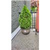 Image 1 : Shrub Planter A