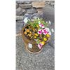 Image 1 : Asian Ceramic Planter A