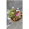 Image 2 : Asian Ceramic Planter A