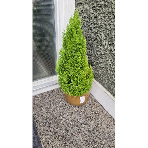 Emerald Shrub A
