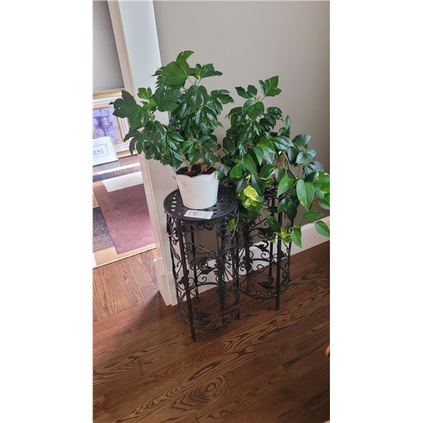 Metal Plant Stands, Plants A